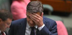 View from The Hill: One Nation’s performance in SA will send shivers down Angus Taylor’s spine for Farrer campaign