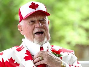 KINSELLA: Conservative MP petitioning for Don Cherry to get Order of Canada a dumb move
