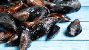 Epatite A a Napoli, 8 i nuovi casi al Cotugno: attualmente sono ricoverate 54 persone, nessuna è grave