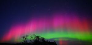 A million new SpaceX satellites will destroy the night sky — for everyone on Earth