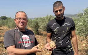 Paleolithic chic: 500,000 years ago, Israel’s ancient toolmakers had a taste for sparkle