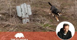 The quiet humanity of a birdcage in the rubble