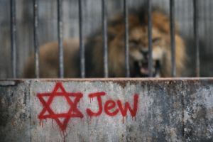 Three Boys, Two Lions