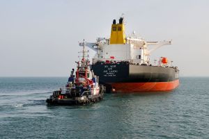 ऊर्जा सुरक्षा हो अपनी प्राथमिकता, पढ़ें देबजित पालित और डॉ आकांक्षा जैन का आलेख