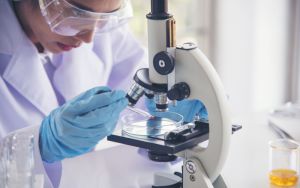 The Strategic Examination of R&D: can Australia’s innovation system reform itself?