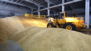 Talous | Sota ei ole nostanut viljan hintaa kotimaassa yhtään