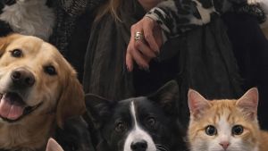 Soccorso agli animali, ci sono cento adesioni