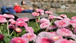 Frühlingshafter Wochenstart - hier braucht es keine Jacke