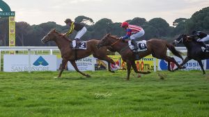 San Rossore Spettacolo e grande pubblico