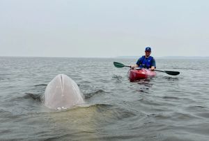 Young wildlife biologist shows communities how 'conservation begins with connection'
