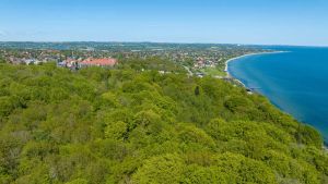 Giv naturen din stemme: Vi skal have en lov om biodiversitet