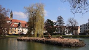 Stadtsee wird weiter aufgehübscht