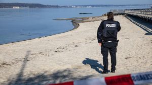Großwal an der Ostseeküste gestrandet – Rettung läuft