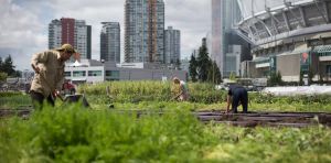 Voici pourquoi il faut valoriser les vendeurs ambulants et les récupérateurs de déchets dans les villes