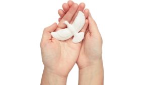 Peace cannot grow from seeds of violence