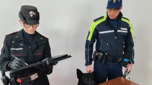 Agente a quattro zampe, il fiuto infallibile di Galant: trova la droga nel parco a Udine, era nascosta dentro un’aiuola
