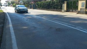 Cade dallo scooter per le radici di un albero e si fa male, anziano chiede 11mila euro di danni