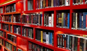 Møre og Romsdal bør satse mer på bibliotek