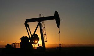 Oil prices plunge 10pc on US-Iran talks