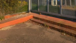 Piscina, l’obiettivo è il 2028. Mini: 