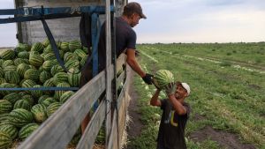 The secret to Ukraine’s remarkably resilient labour market