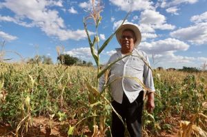 Los problemas del campo // La transformación que no llega // Incongruencia de diputados locales - Ciudad Perdida