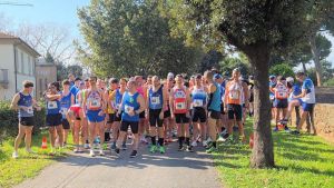 Su e Giù per le mura. Vince Giovannelli