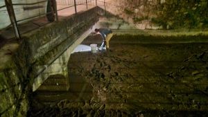 Il salvataggio dei pesci a Calcinato: trasloco forzato dai canali all’asciutto per due quintali di esemplari, si mobilita il paese