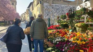 Fiera del fiore alla Badia, venti bancarelle lanciano la Primavera