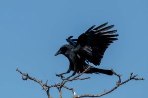 „Sanditz“ von Lukas Rietzschel: Diese Familie steht für viele