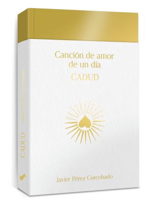 El último disco de la historia: sobre ‘Canción de amor de un día’, de Javier Corcobado