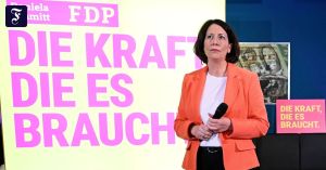 Die FDP hat drei große Probleme