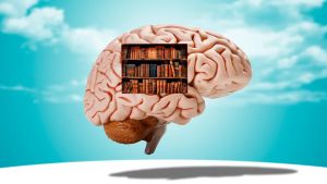 Learn Faster, Make Better Decisions, Build a Healthier Brain: Neuroscience Says Try Any of These 4 Simple Techniques