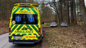 Mystisk politiaktion standsede alle tog: 13-årig sprang ud af toget under kørsle...