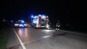 Investe un cervo con la moto: è grave