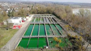 Kurioser Anblick bei der Radolfzeller Kläranlage: Warum leuchtet das Wasser plötzlich neongrün?
