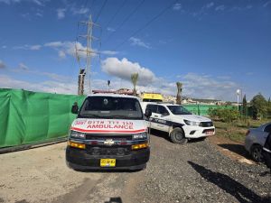 Woman shot dead in Galilee, taking 2026 toll in Arab community to 74