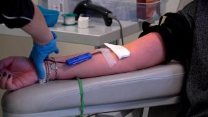 Il plasma finisce in discarica: manca il personale per il congelamento. Esplode il caso: “Inaccettabile”