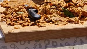 Mercato, gastronomia e sfida tra norcini. Torna domenica la ’festa del cicciolo’