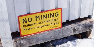 Miljöhänsyn hotar svenskt oberoende