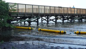 Por dónde va la lucha ambiental