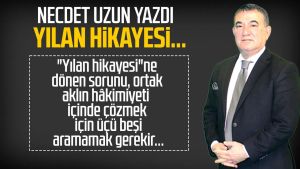 Necdet Uzun yazdı: Yılan hikayesi...