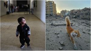 Usa-Iran, piano di pace in 15 punti: dal no al nucleare a Hormuz libero. Teheran: “Negoziamo solo con JD Vance”