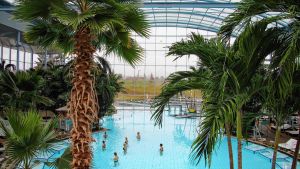 Alkoholisierter Mann belästigt Badegäste im Schwarzwaldbad