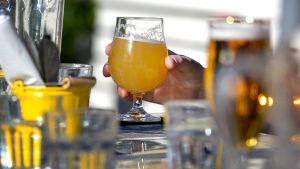 ”I sommar ser det ut att hända. En riktig reform för mer kul.”