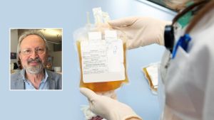 Plasma buttato, la rabbia di Avis Marche: “Mortificato un dono inestimabile”