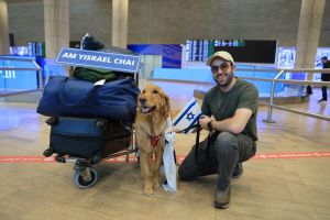 Immigrating to Israel during war ‘closes a circle,’ Iranian-American Jew says