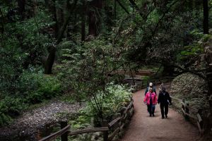 The second most-visited national park is in the Bay Area. Here’s how you can help preserve it
