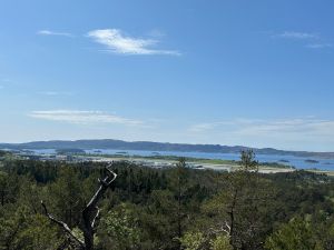 Storrinden – Bergens nye byfjell?