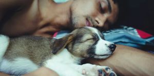 Do you love sleeping with your pet? Science reveals there’s a tricky trade‑off